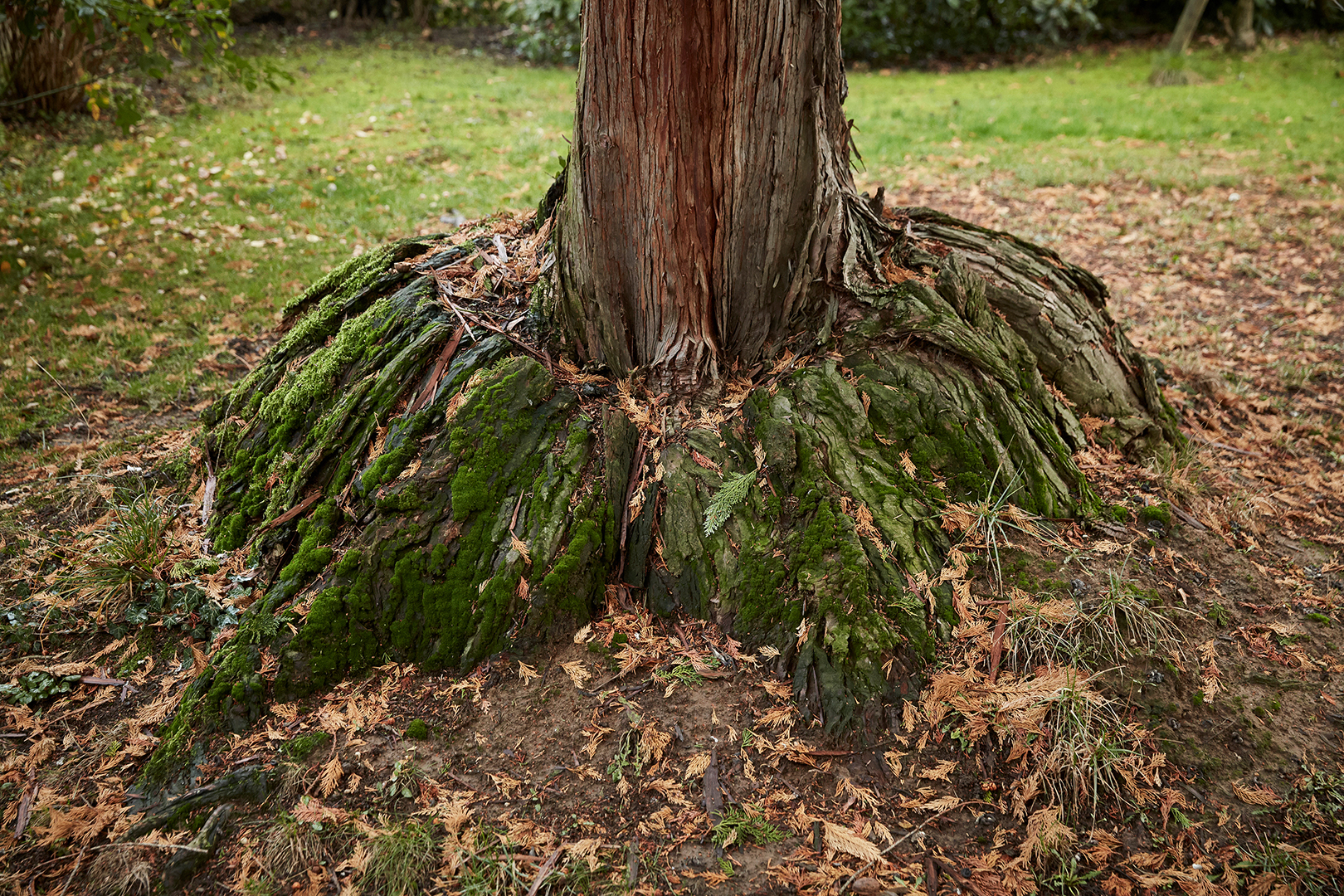 copyright Maurice Haas - Schweizer Literaturpreisträger 2019