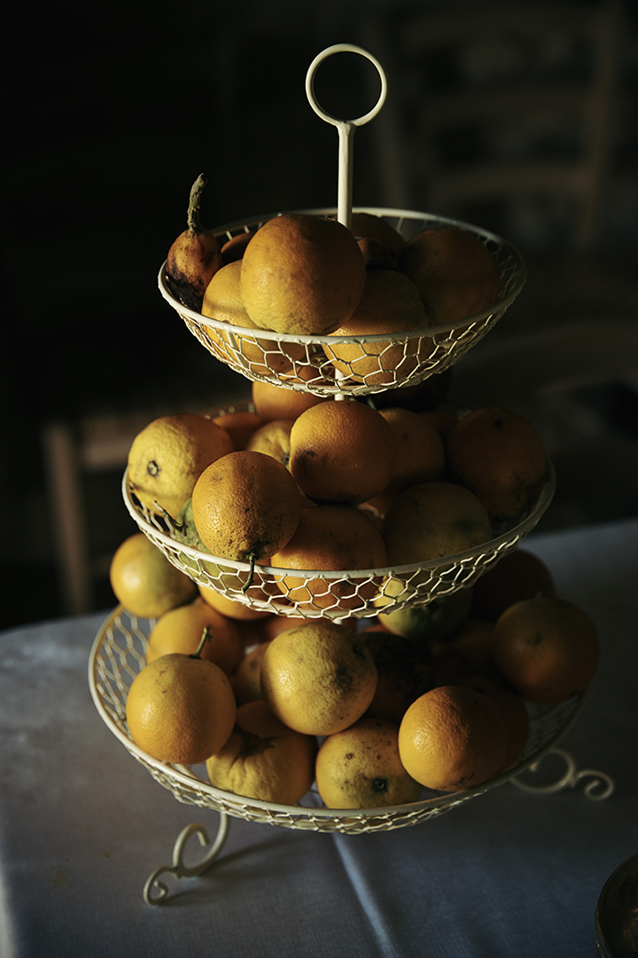 copyright Maurice Haas -