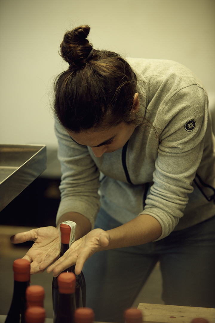 copyright Maurice Haas - Occhipinti