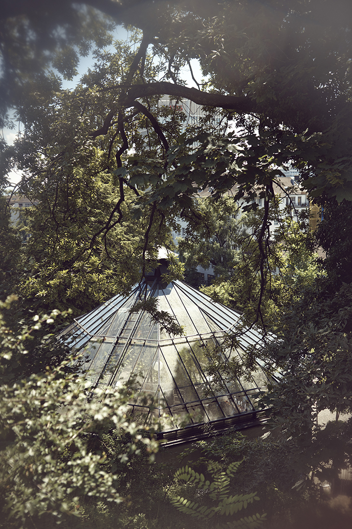 copyright Maurice Haas -