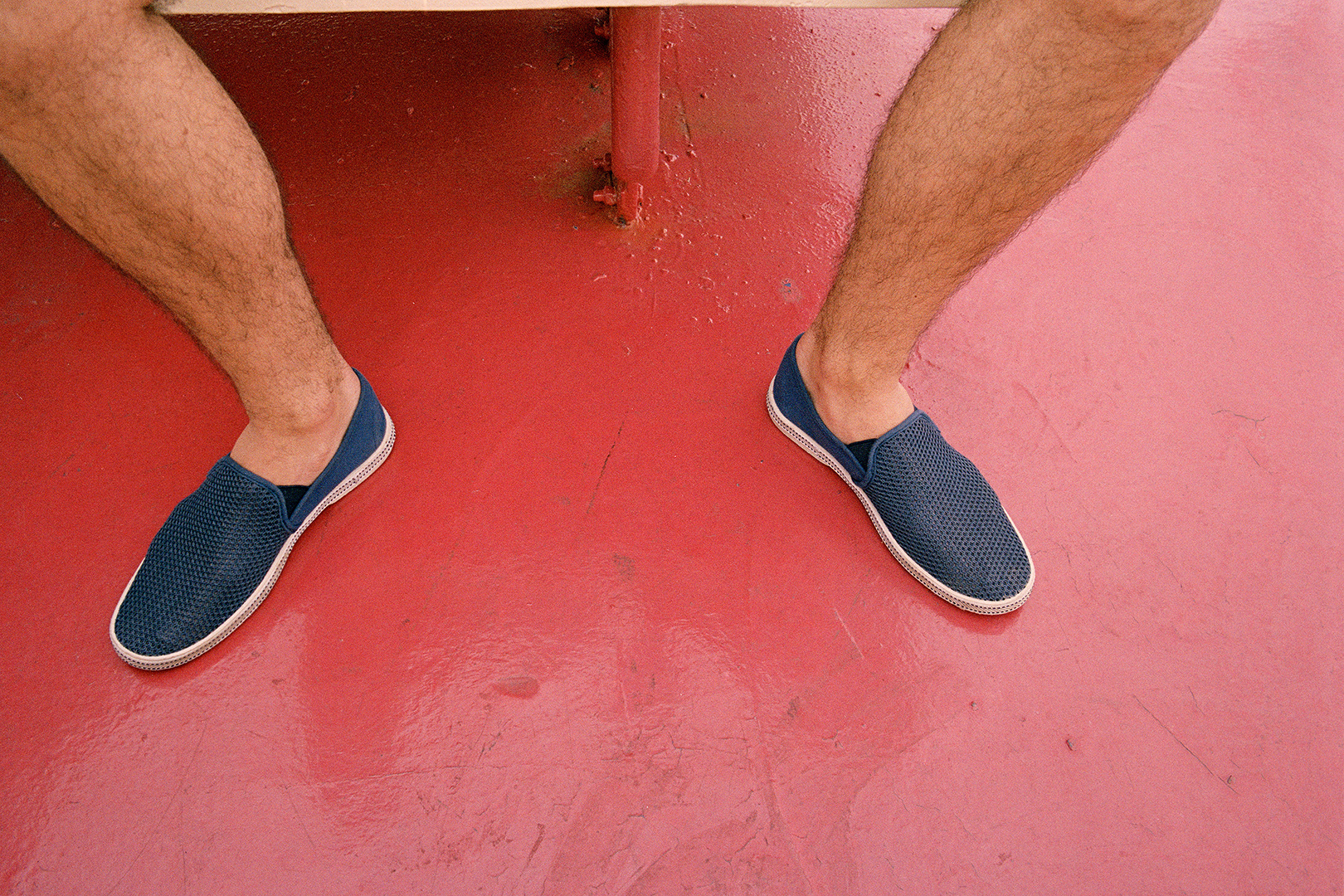 copyright Moritz Schermbach - Elba