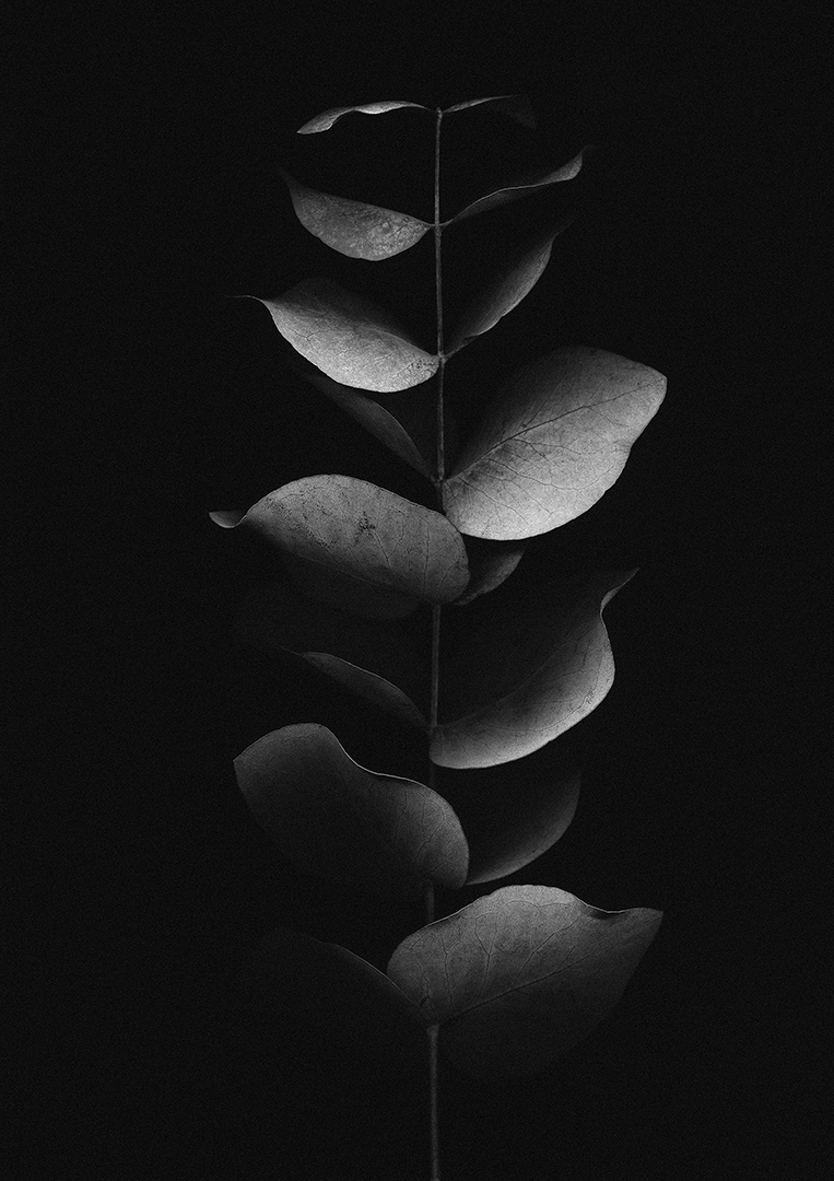 copyright Moritz Schermbach - Greens