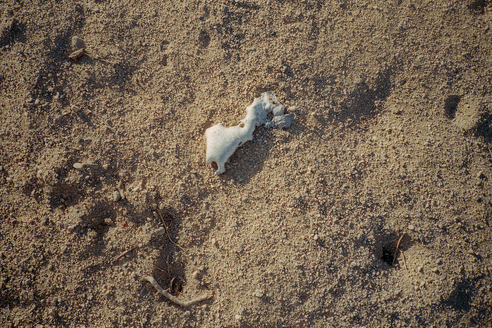 copyright Moritz Schermbach - Los Angeles