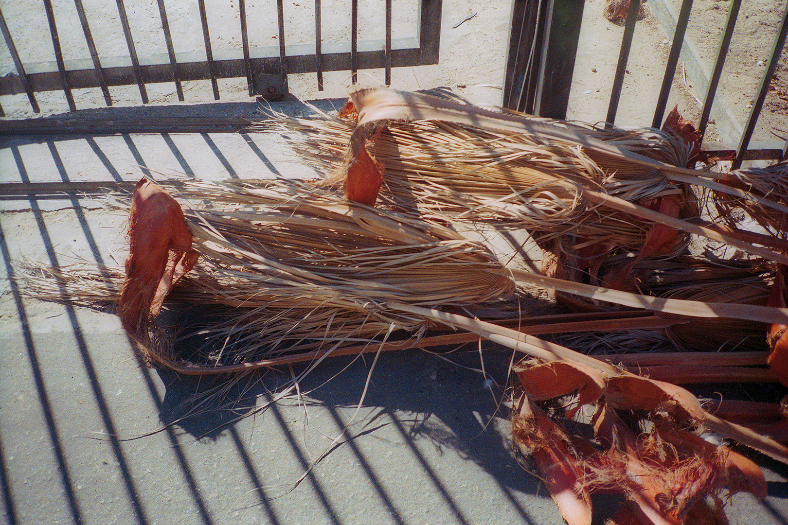 copyright Moritz Schermbach - Los Angeles