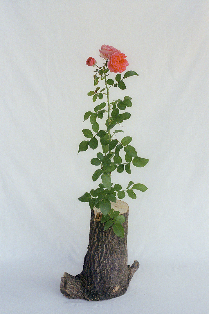 copyright Moritz Schermbach - Yard Sale