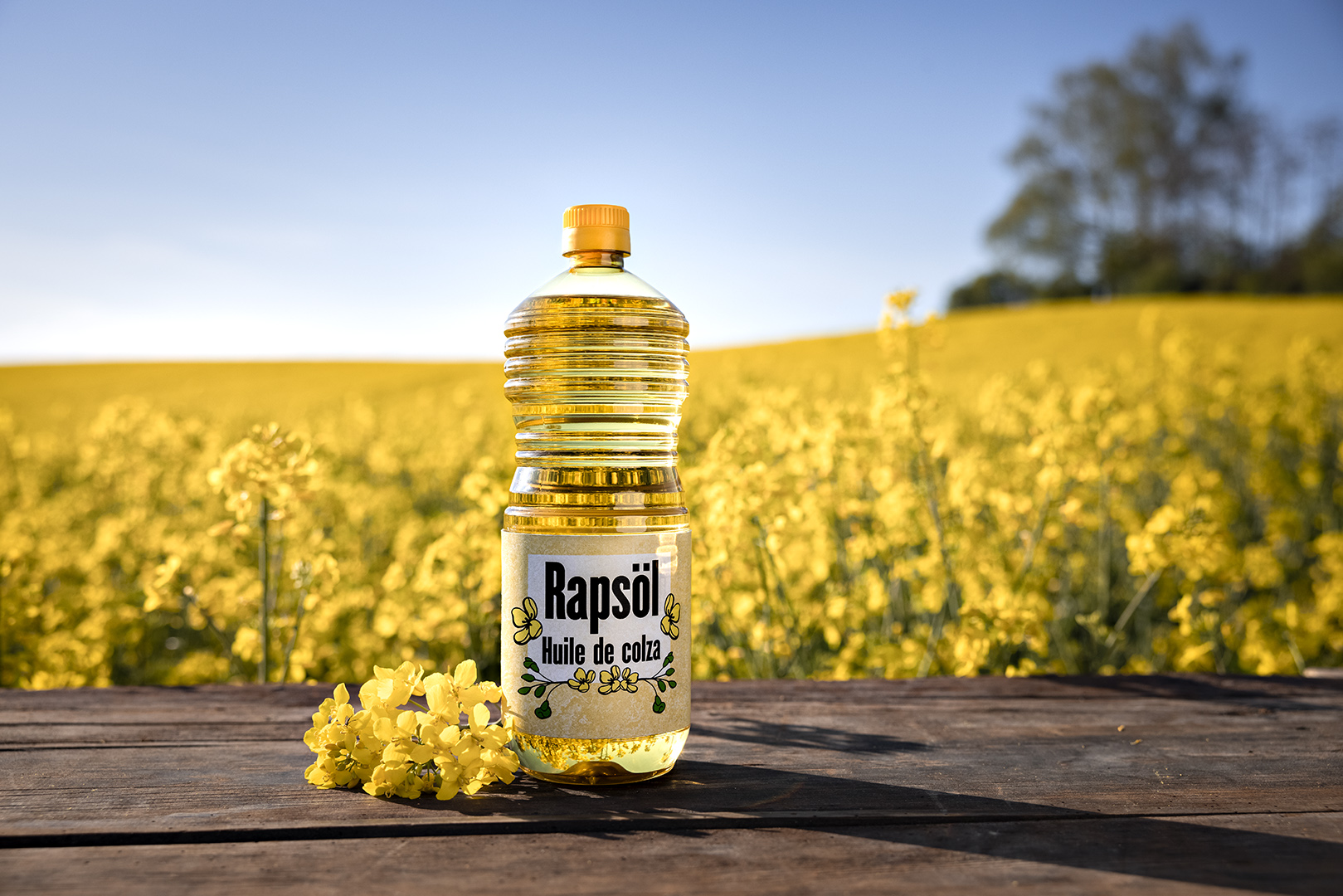 copyright Christian Grund - Schweizer Rapsöl