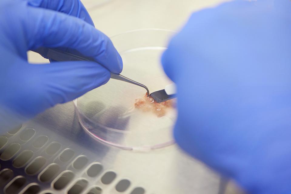 Copyright Maurice Haas