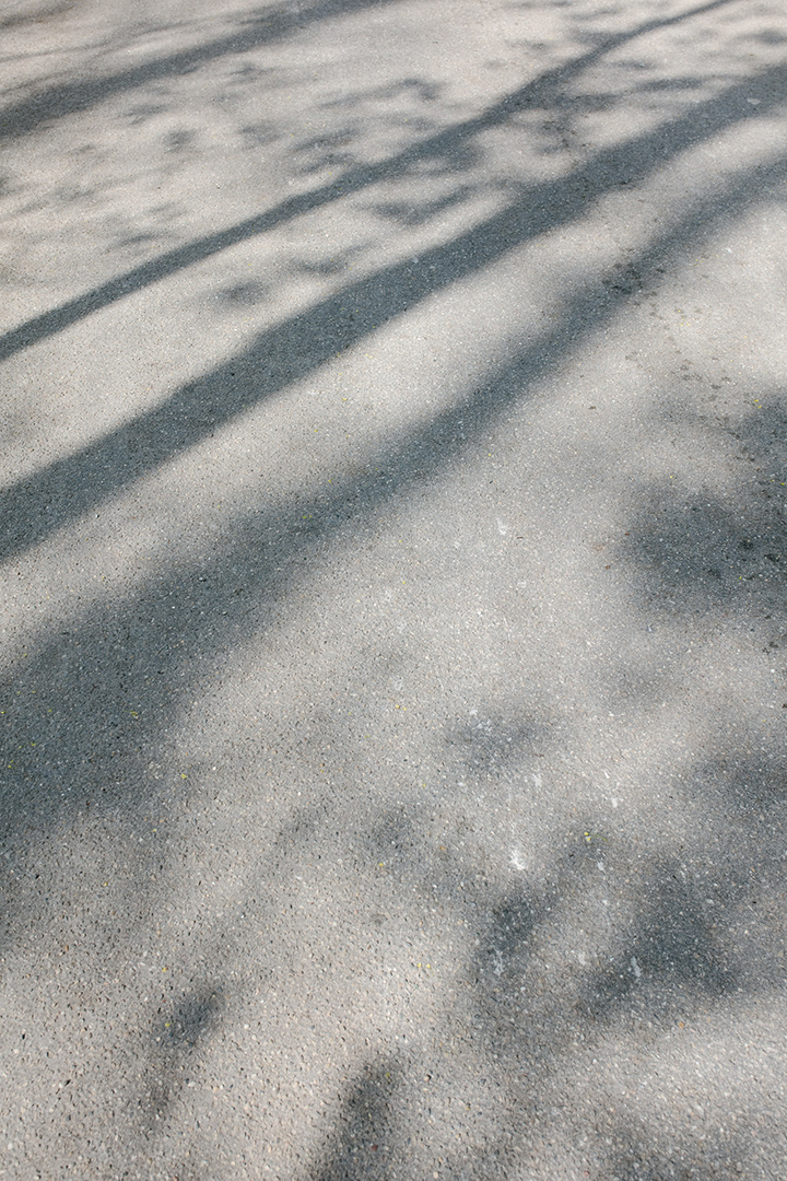 copyright Moritz Schermbach -