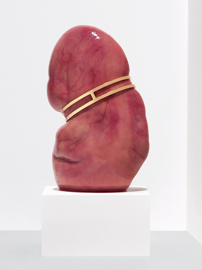 copyright Bela Borsodi - Pin-Up Magazine – Prime Cuts