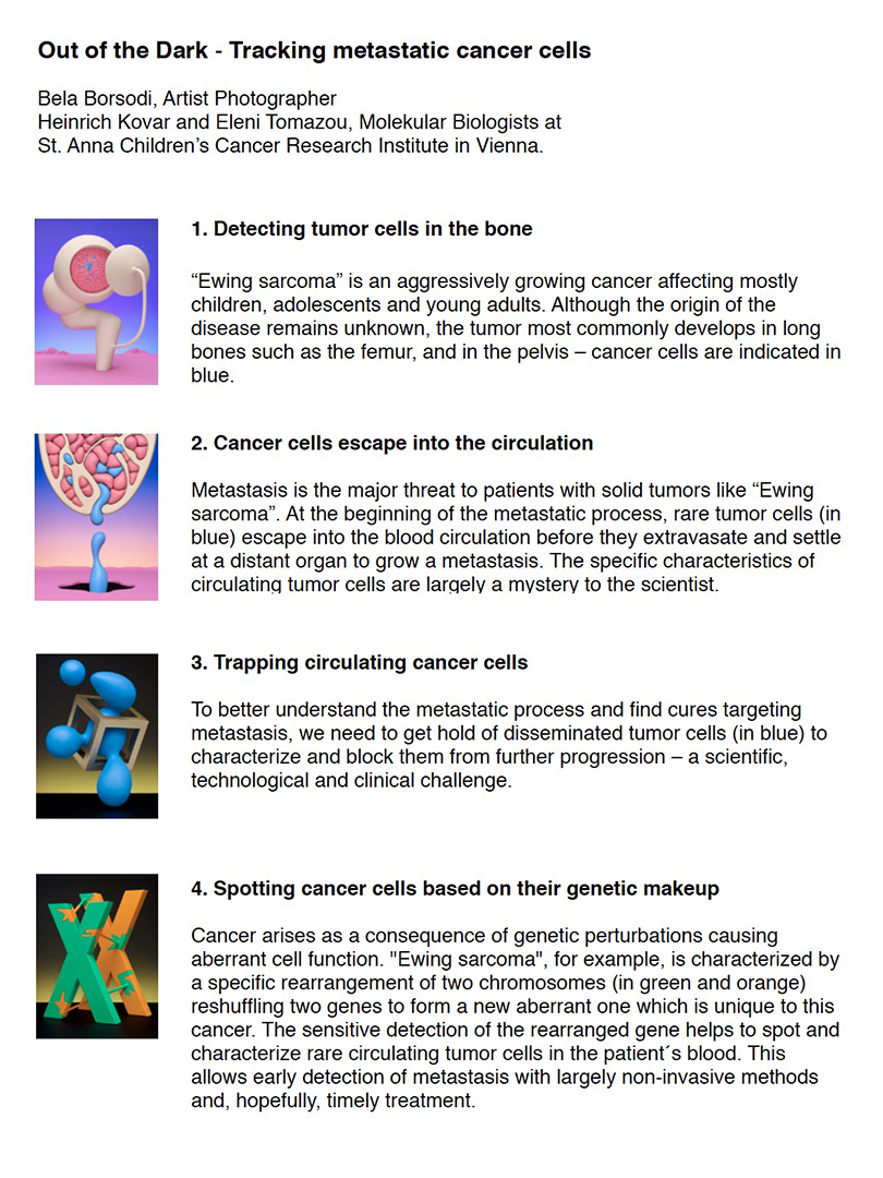 copyright Bela Borsodi - Out of the Dark