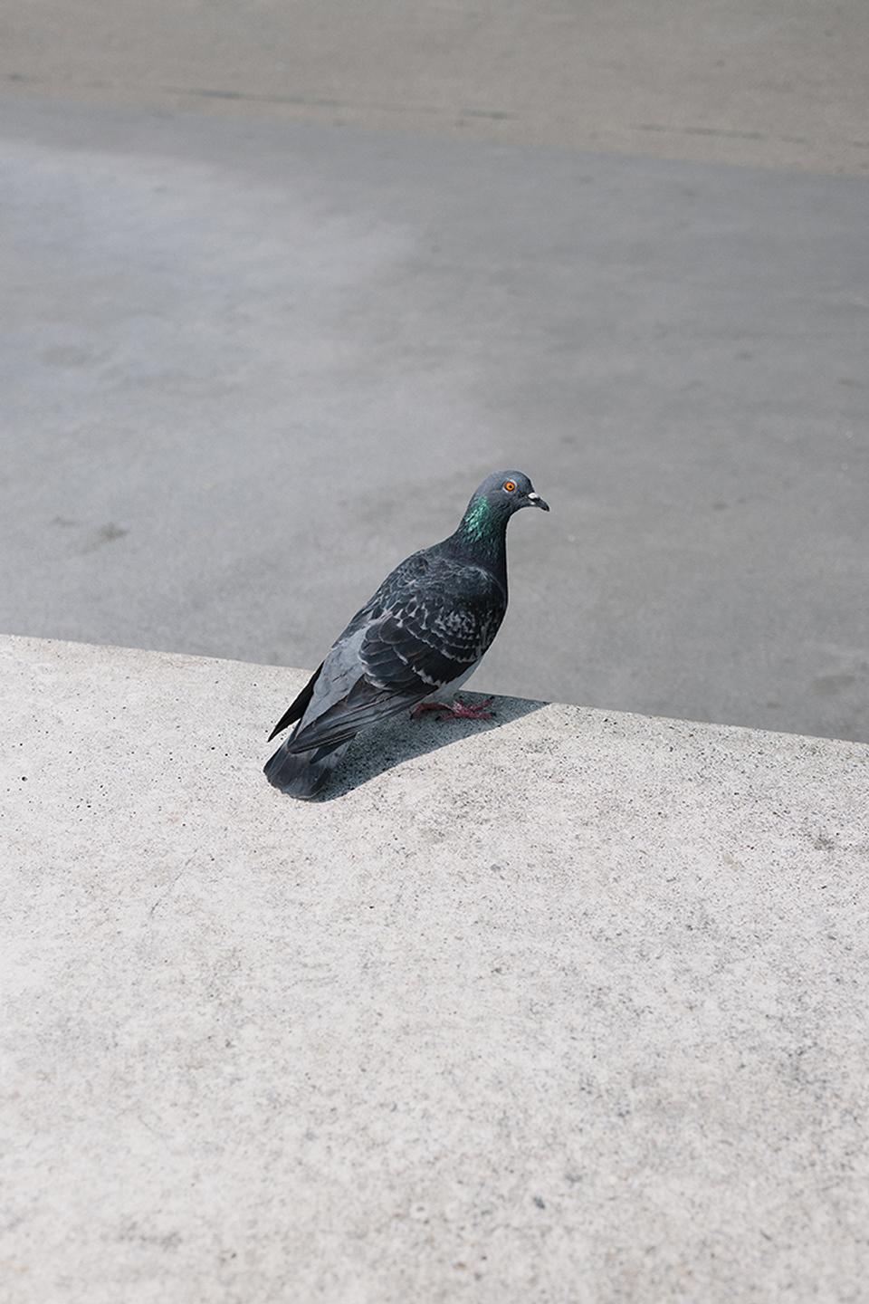 Copyright Moritz Schermbach