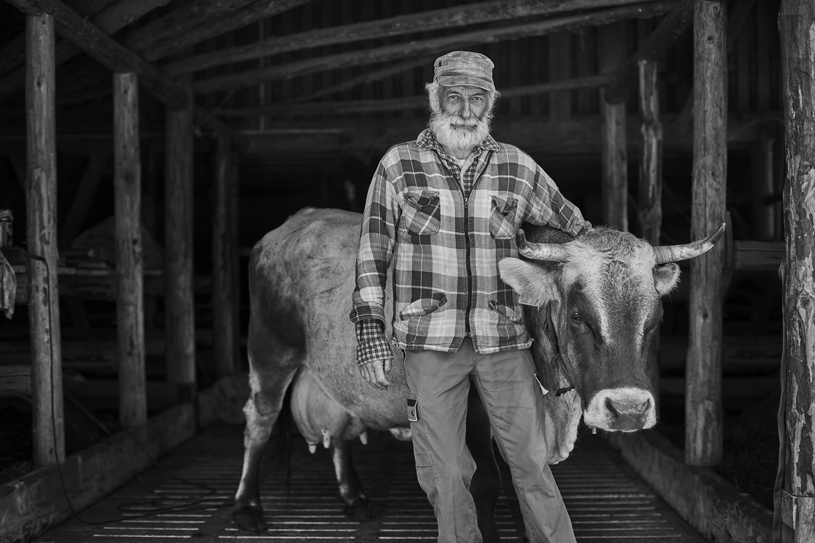 copyright Sylvan Müller - Ueli-Hof – Fleisch