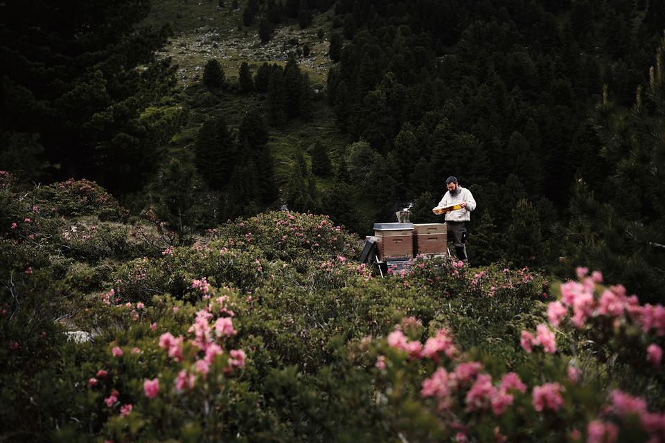 Copyright Sylvan Müller – Honig der Alpen – Die Imker